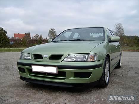 Nissan Primera (SOLGT) billede 5