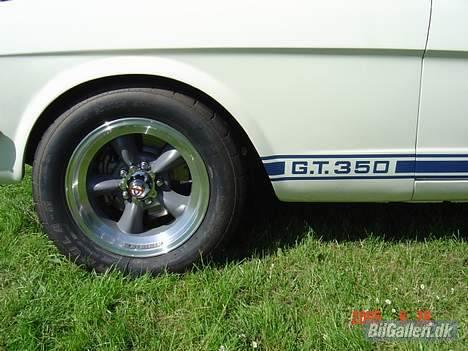 Amerikaner ford mustang GT 350 clone billede 19