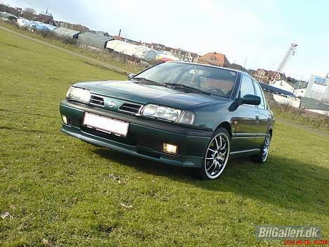 Nissan primera SRi *SOLGT* billede 11