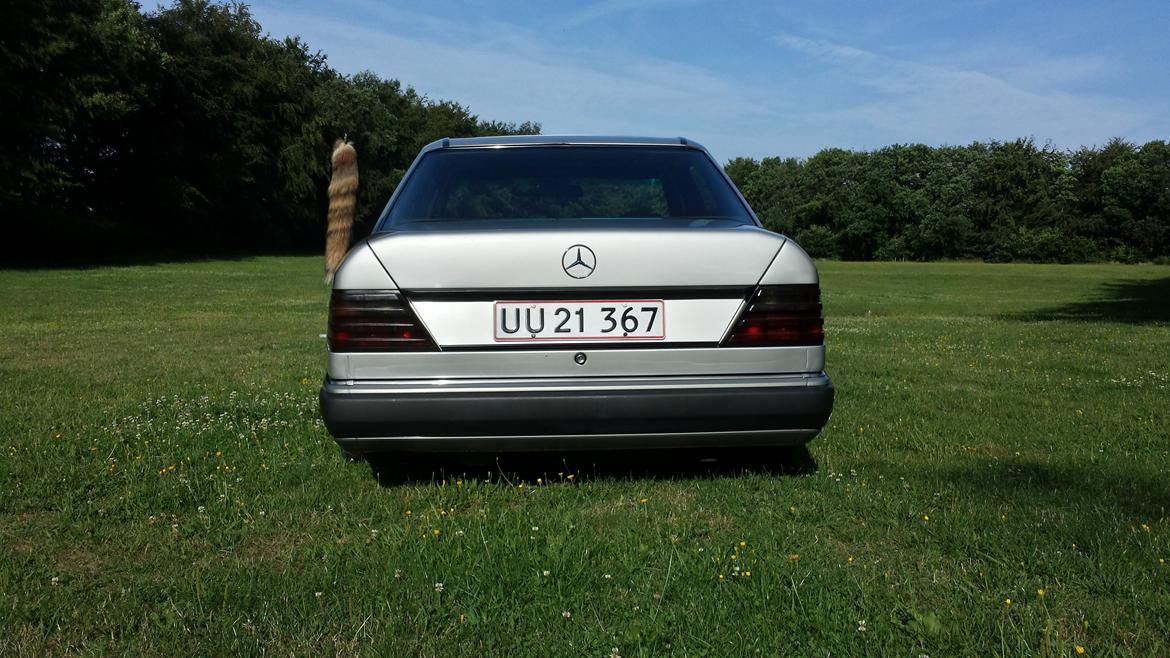 Mercedes Benz W124 250D Low Ride.. billede 6