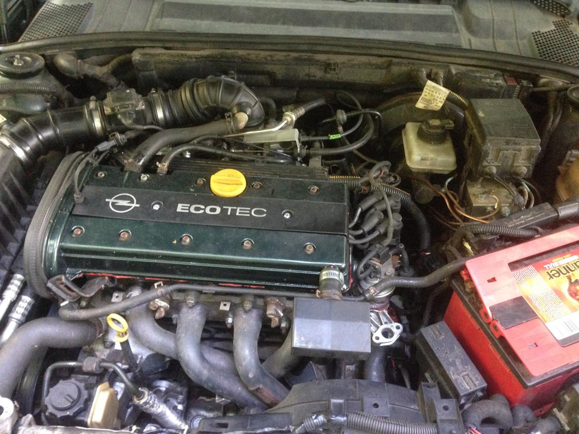 Opel Vectra B billede 14