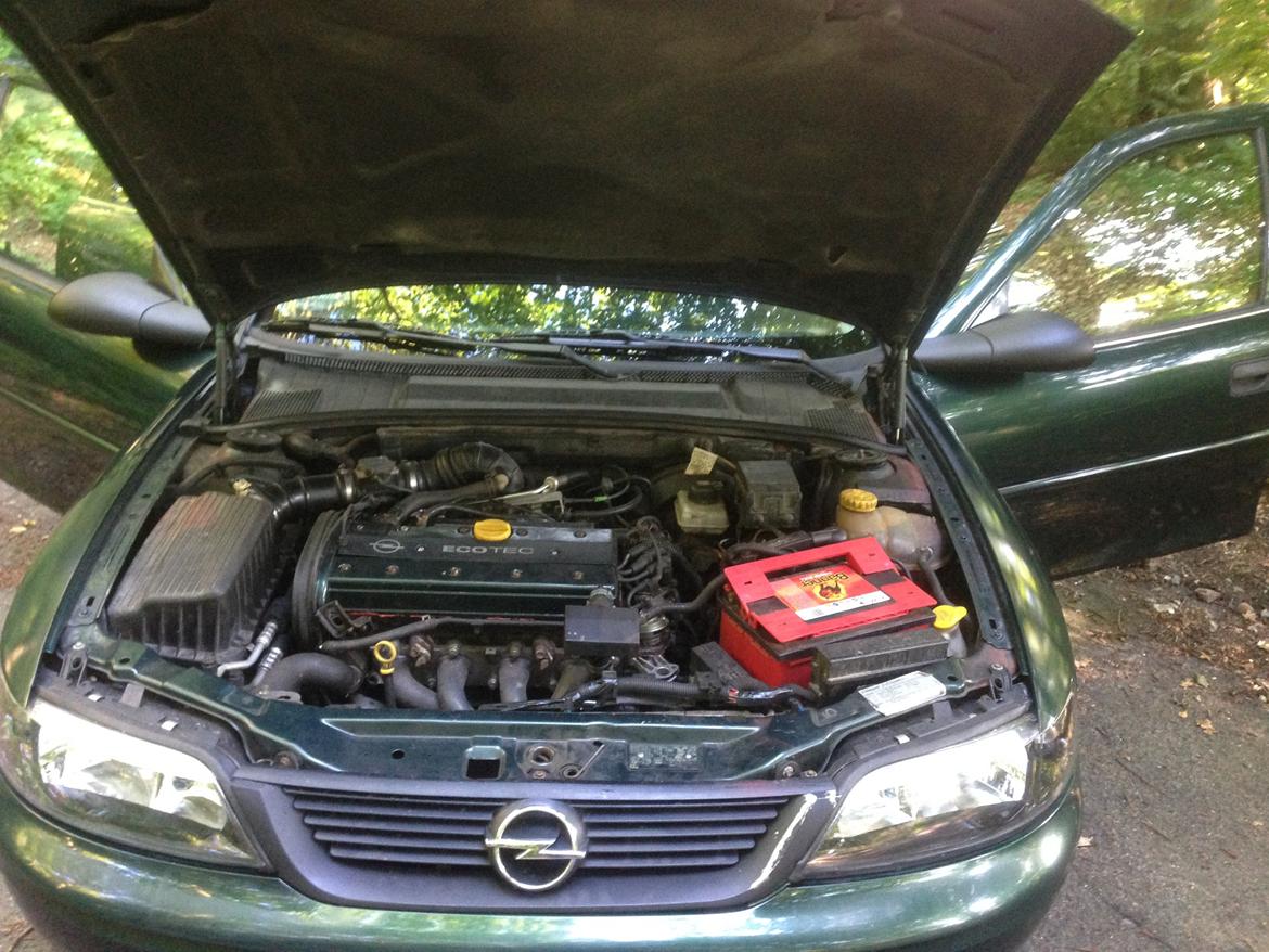 Opel Vectra B billede 13