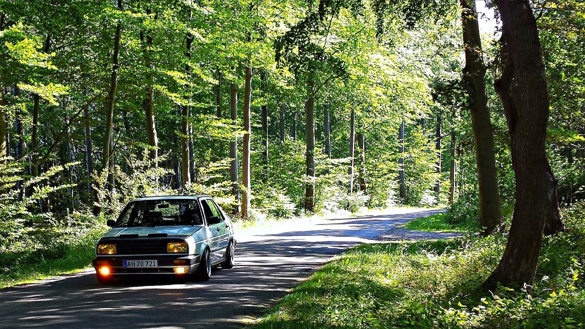 VW Jetta GL billede 1