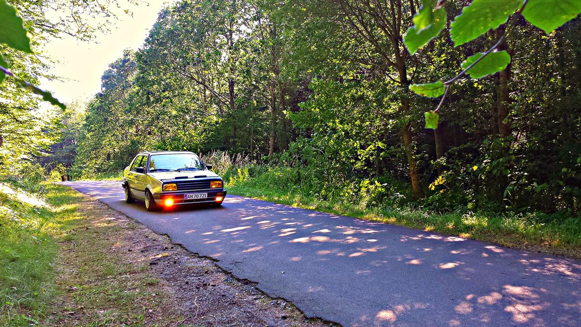 VW Jetta GL billede 3