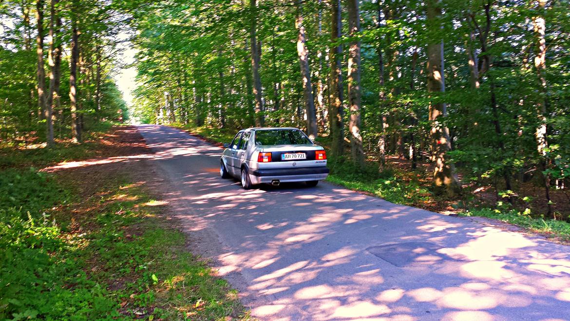 VW Jetta GL billede 8