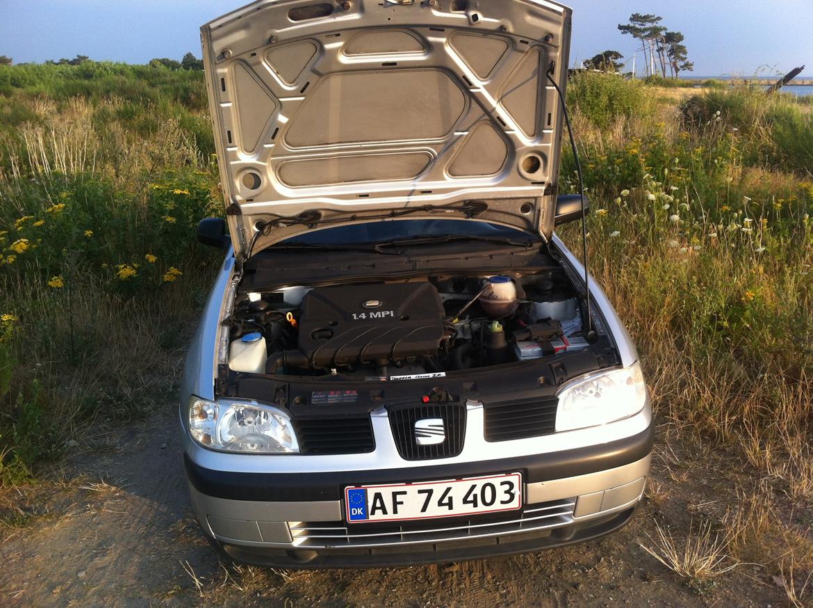 Seat Ibiza 6K2 billede 5