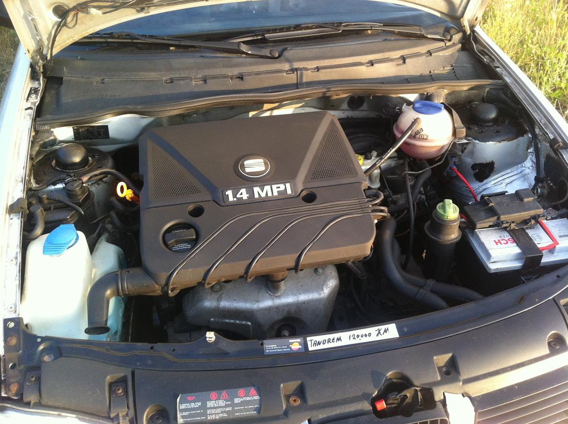 Seat Ibiza 6K2 billede 6