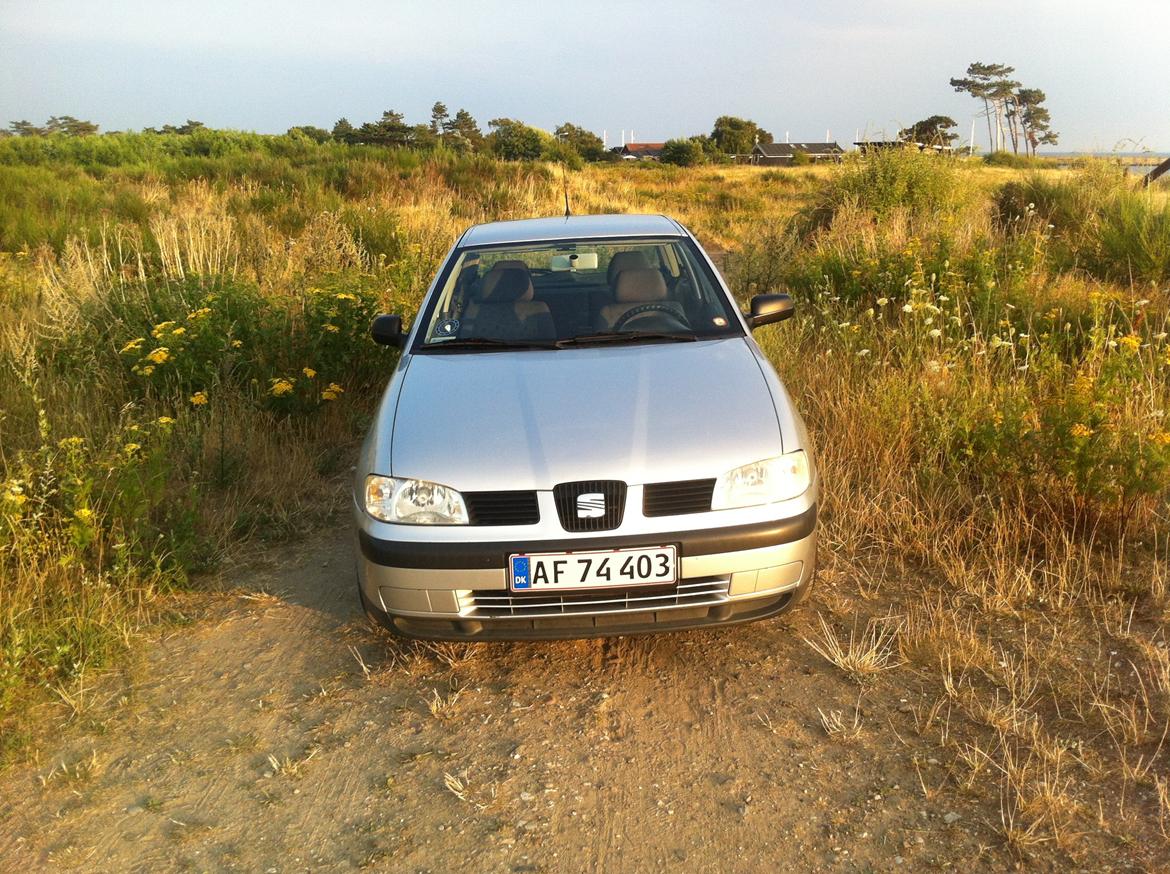Seat Ibiza 6K2 billede 3