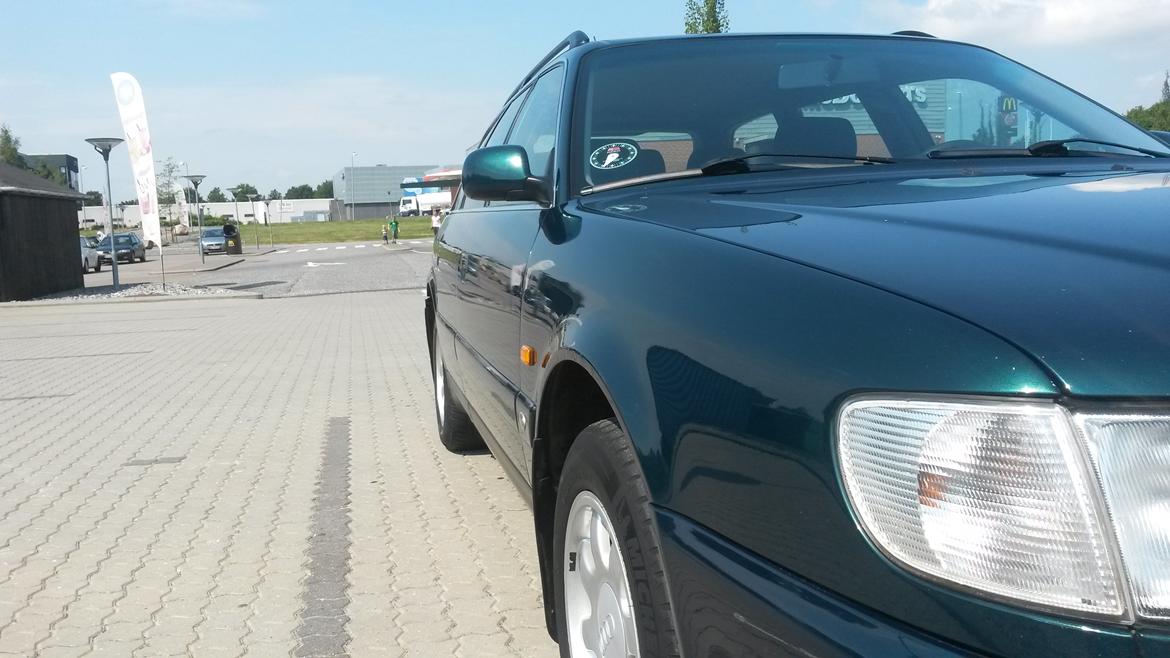 Audi A6 2.6 V6 billede 12