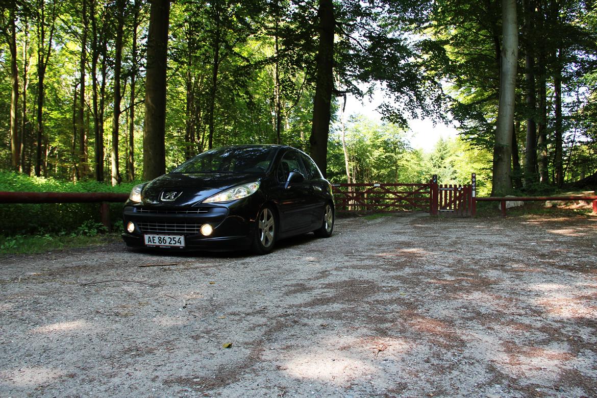Peugeot 207 GT Turbo billede 20