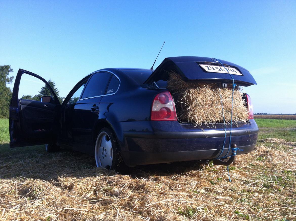 VW VW Passat AVB 1,9 TDI Man Limousine billede 17