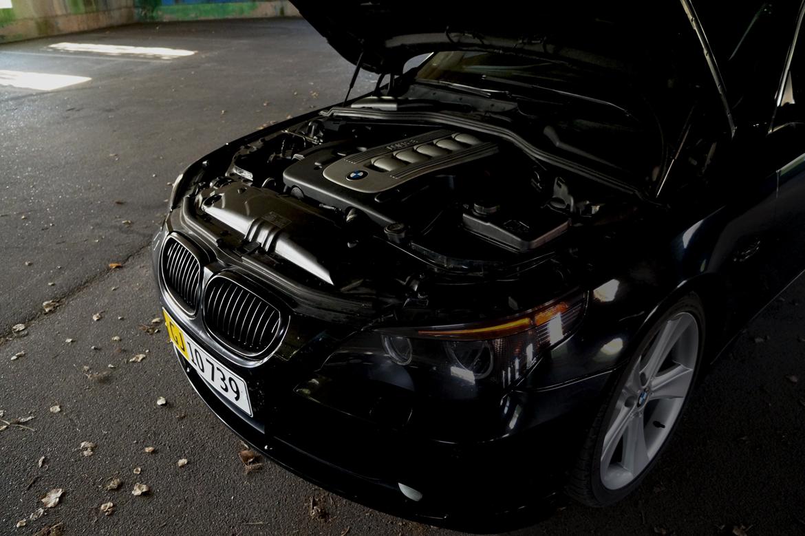 BMW E61 525D billede 5
