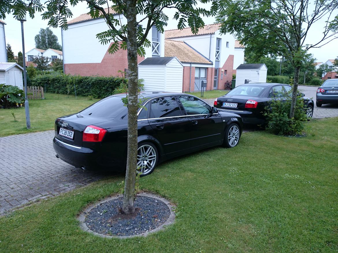 Audi A4 Limosine billede 7