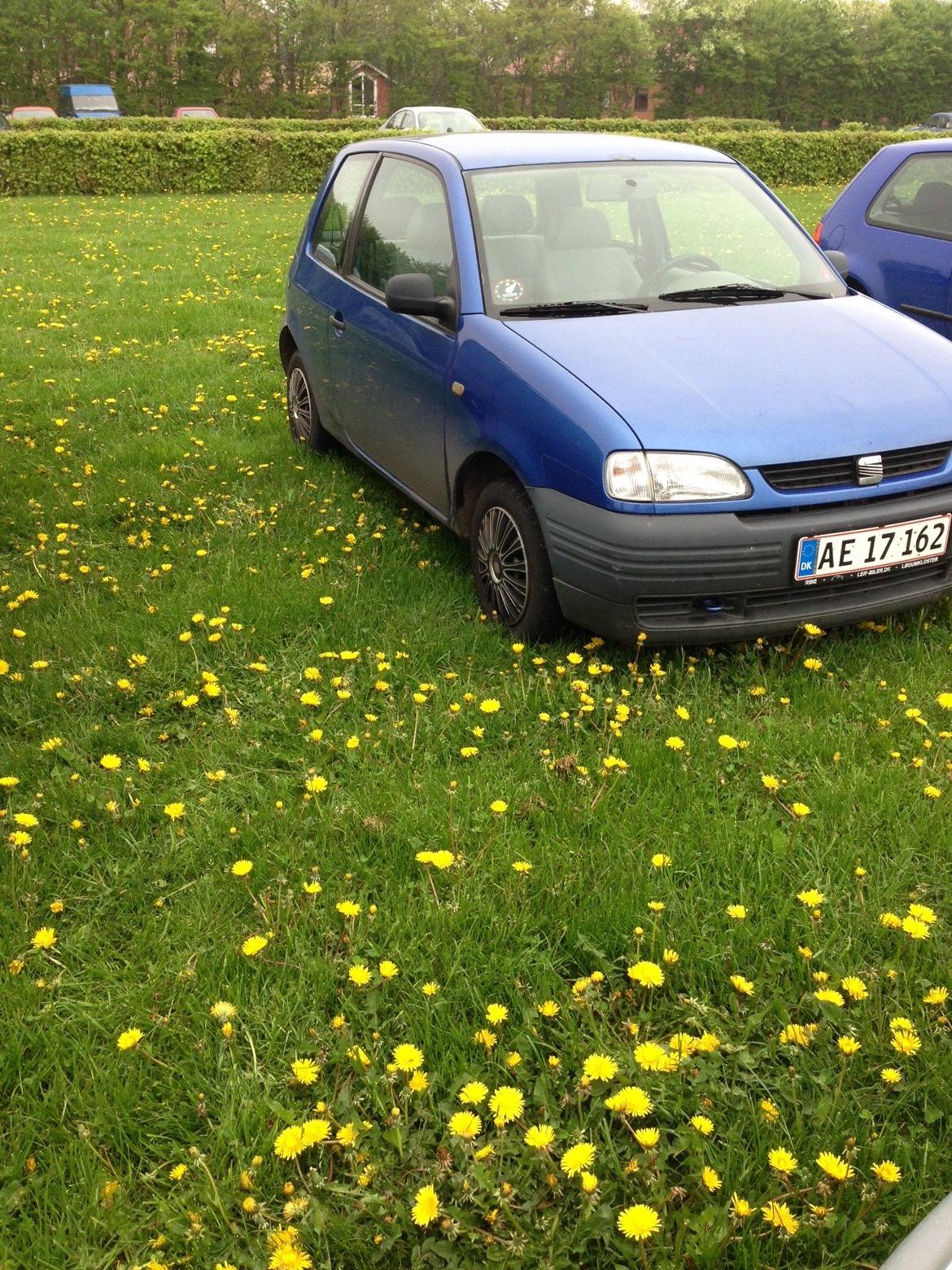 Seat Arosa 1.0 billede 1