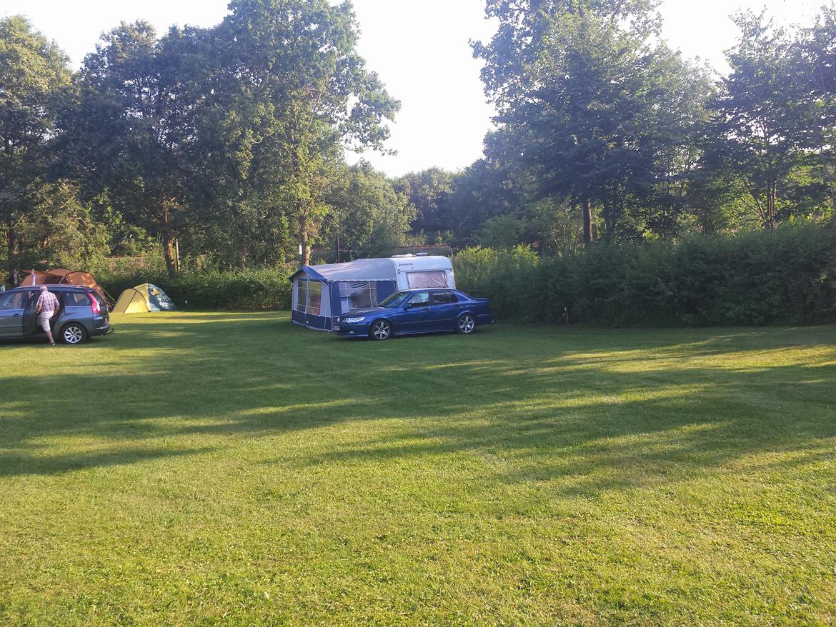 Saab 9-5  aero billede 20