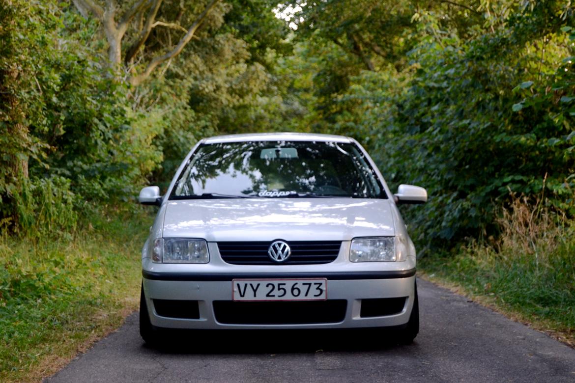 VW Polo 6N2 billede 1