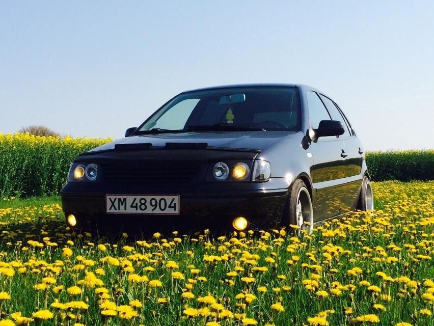 VW polo 6n2 billede 4