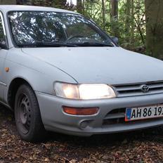 Toyota corolla 1,3i e10 Smadret :(