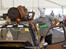 VW Golf 2 Bente