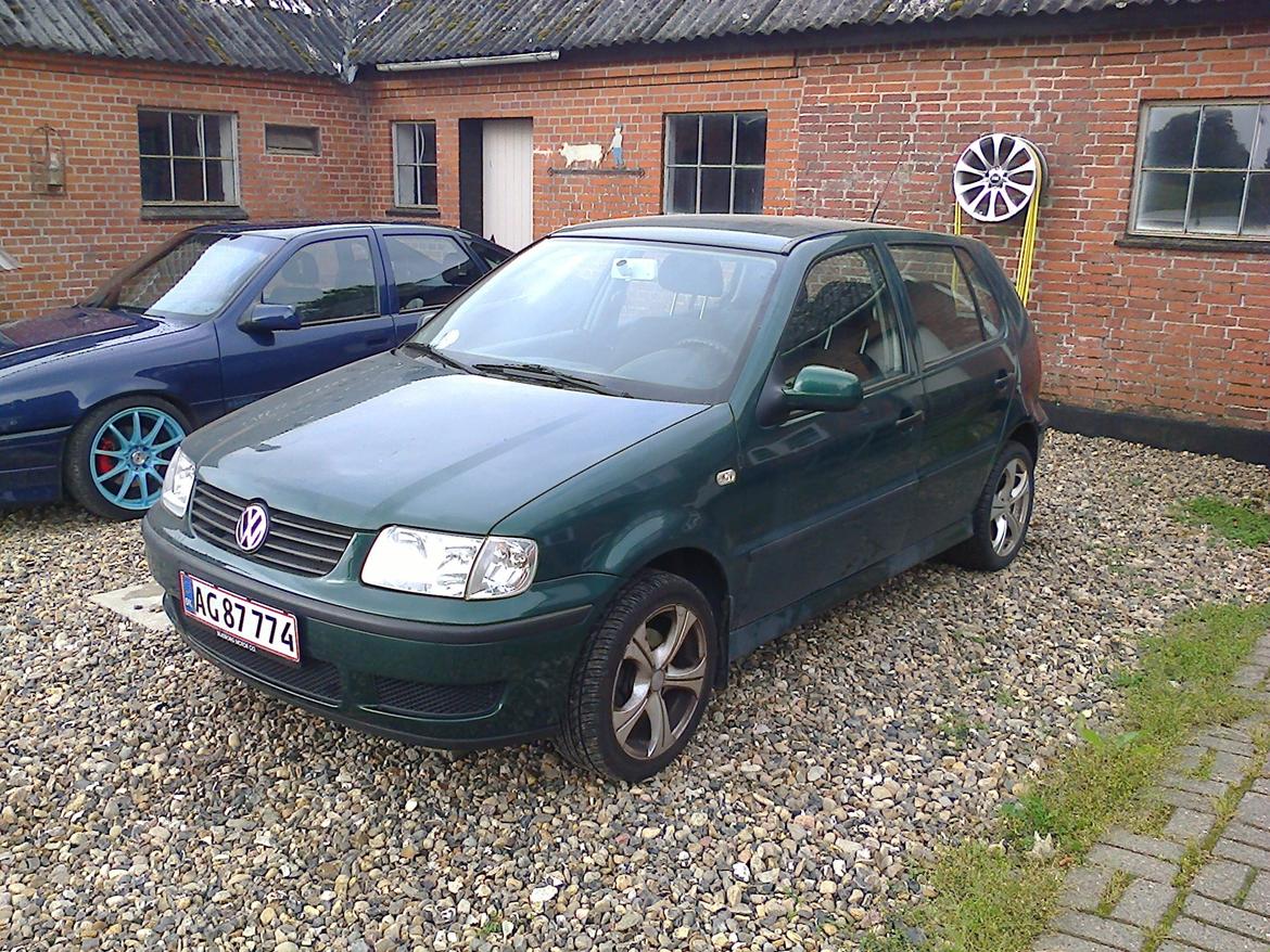 VW polo 6n2 - da jeg fik den  billede 2