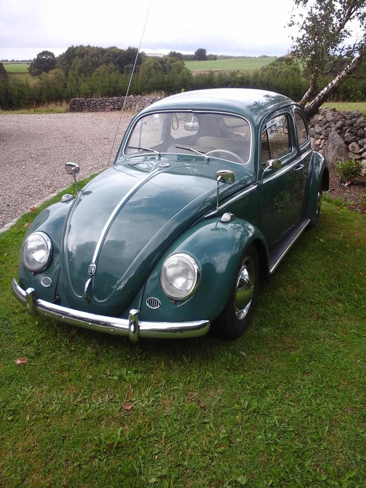 VW bobbel billede 3