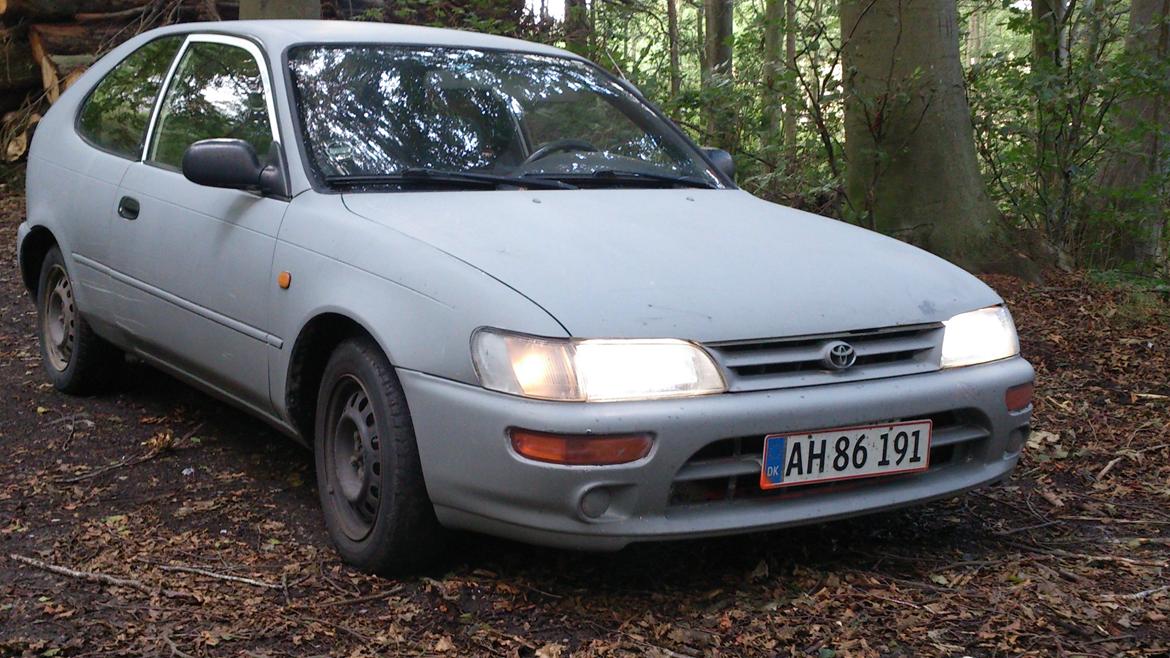 Toyota corolla 1,3i e10 Smadret :( billede 1