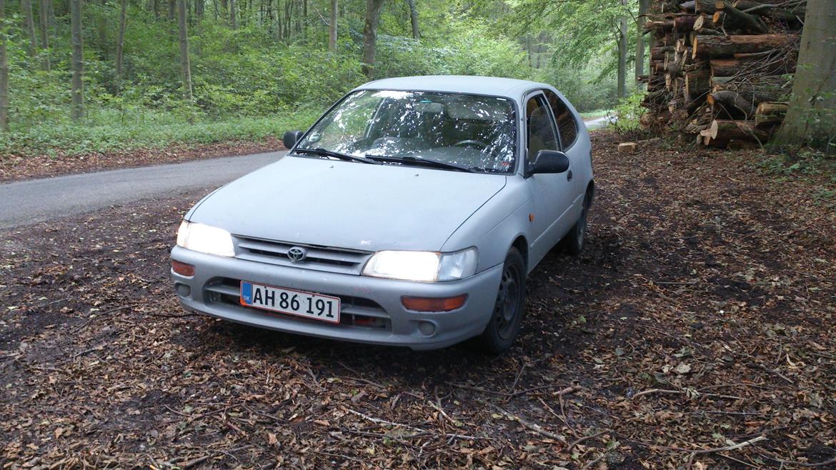 Toyota corolla 1,3i e10 Smadret :( billede 2