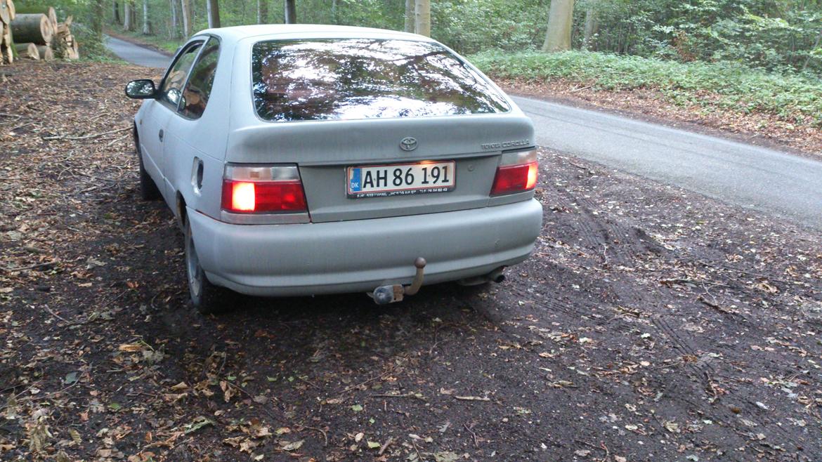Toyota corolla 1,3i e10 Smadret :( billede 3