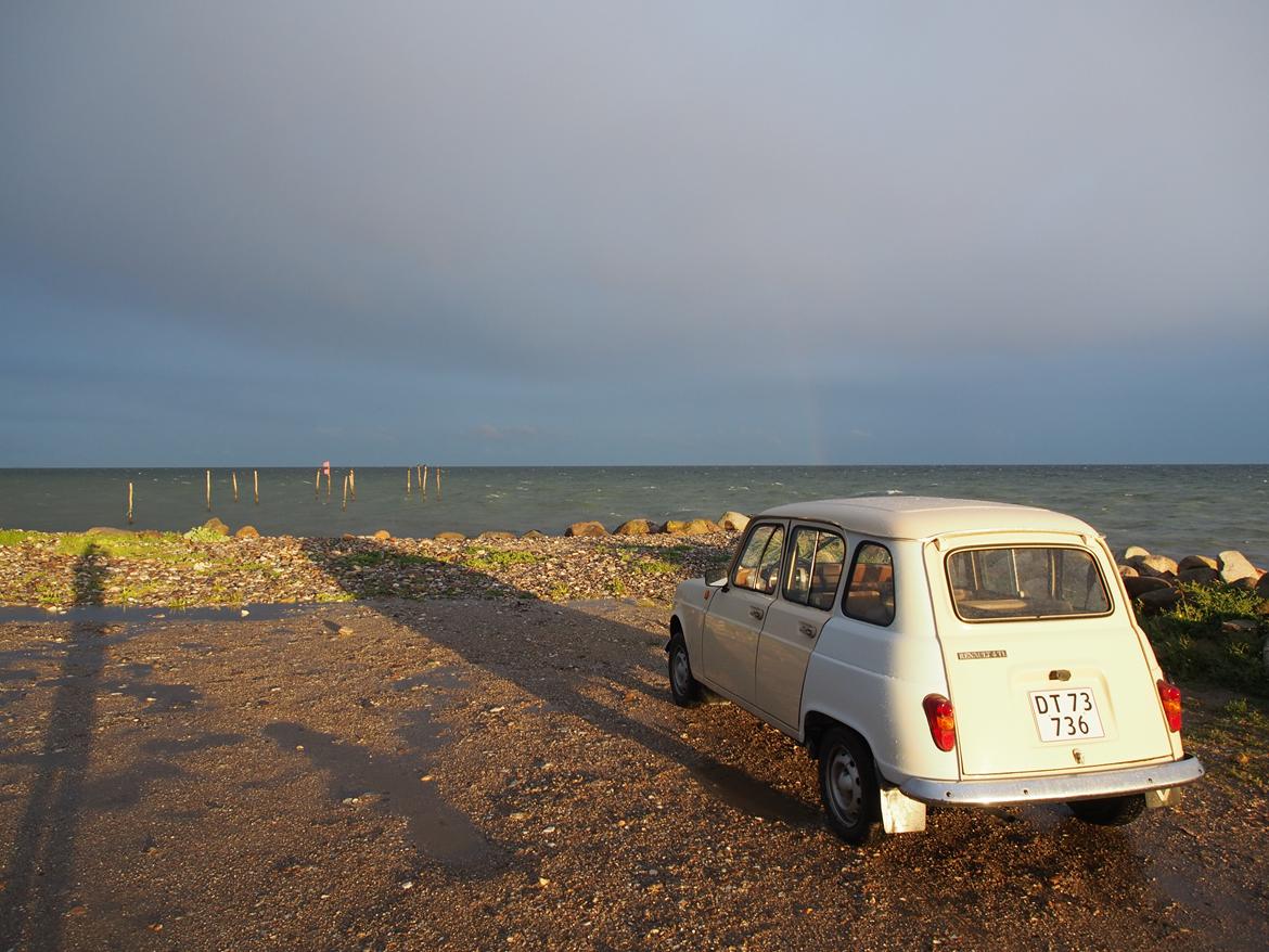 Renault 4TL - Venstre bagskærm skulle lige males  billede 8