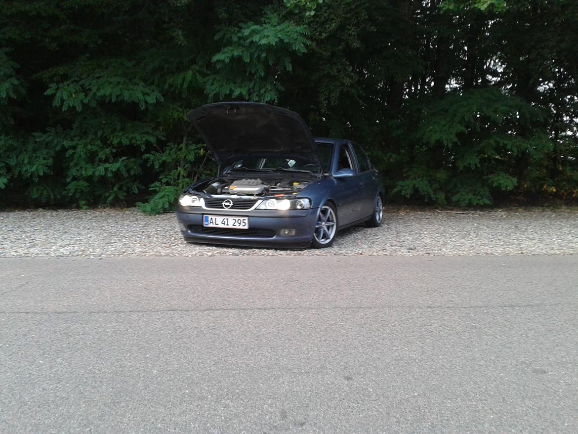 Opel Vectra B billede 17