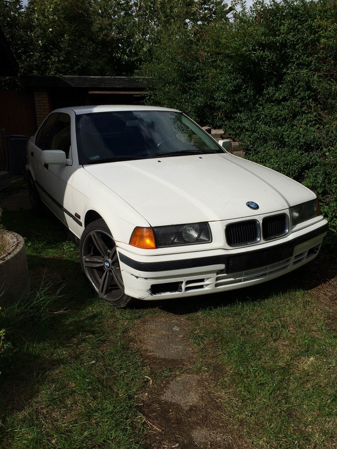 BMW 318i E36 billede 2