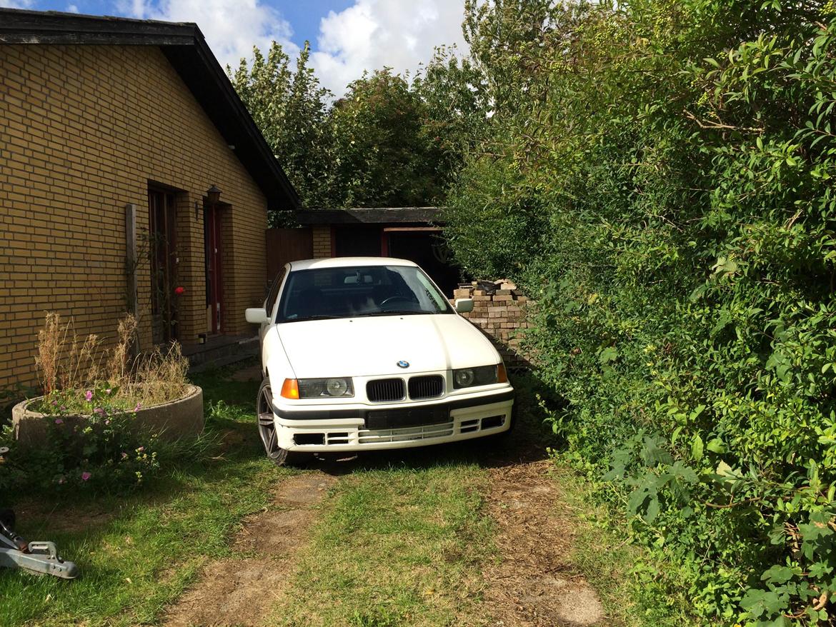 BMW 318i E36 billede 6