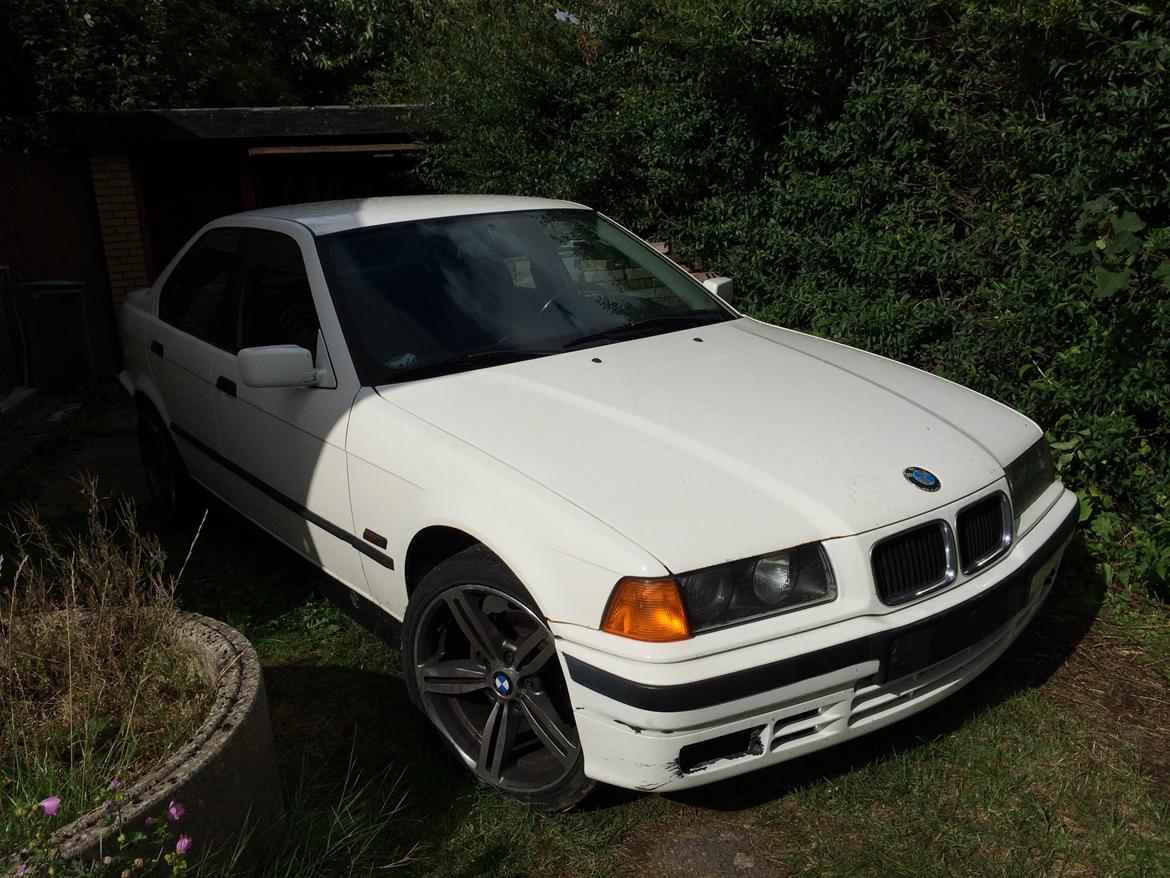BMW 318i E36 billede 3