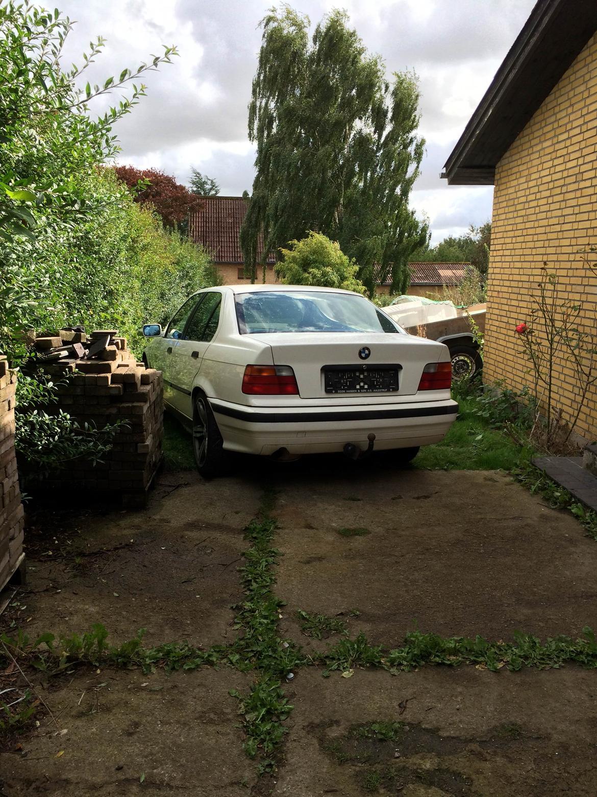 BMW 318i E36 billede 8