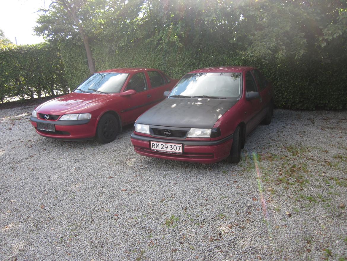 Opel Vectra A 1.8i (SKROTTET)  billede 10