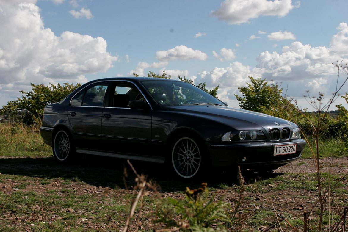 BMW E39 535i V8 billede 1