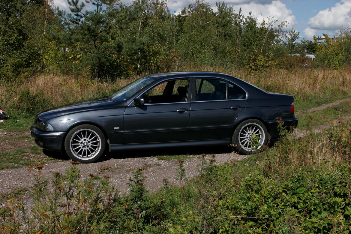 BMW E39 535i V8 billede 4