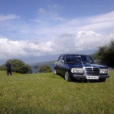 Mercedes Benz w123