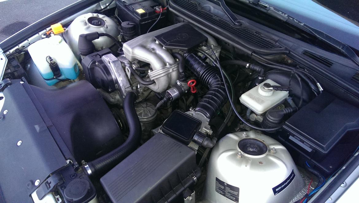 BMW e36 316i - Sådan ser motoren ud - August '14 billede 9