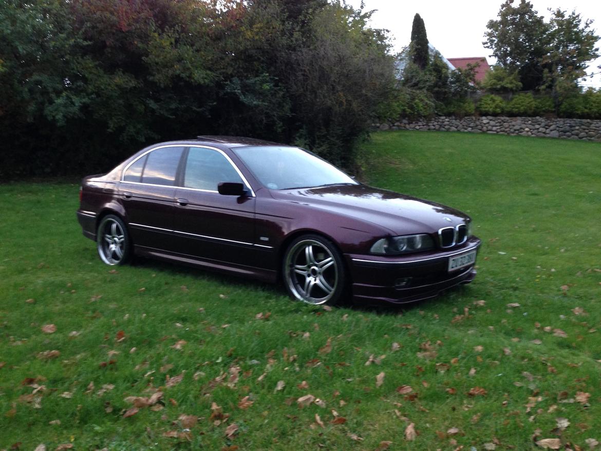 BMW Hartge H5 2,6 E39 billede 27