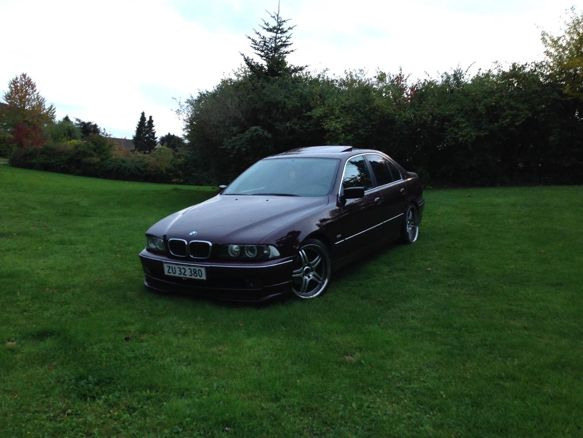 BMW Hartge H5 2,6 E39 billede 32