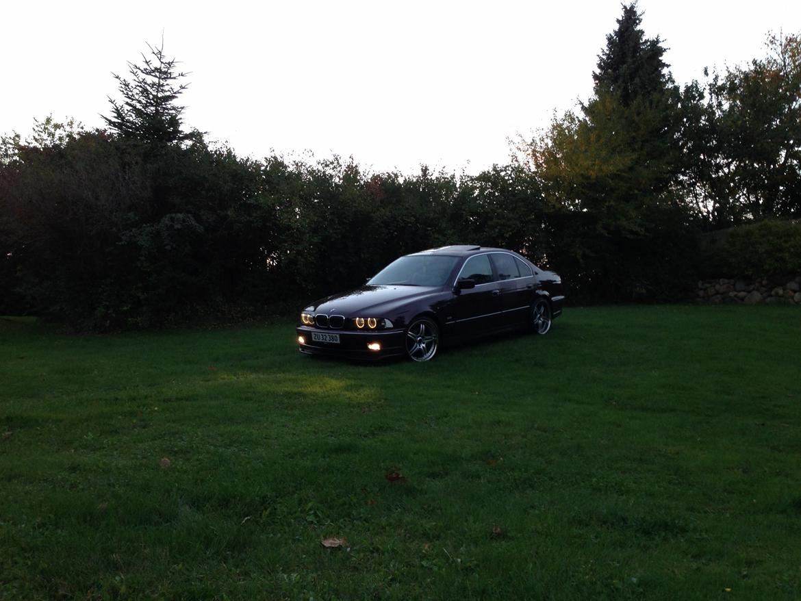 BMW Hartge H5 2,6 E39 billede 41