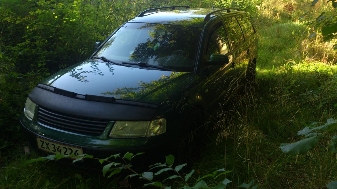 VW passat 3b billede 1