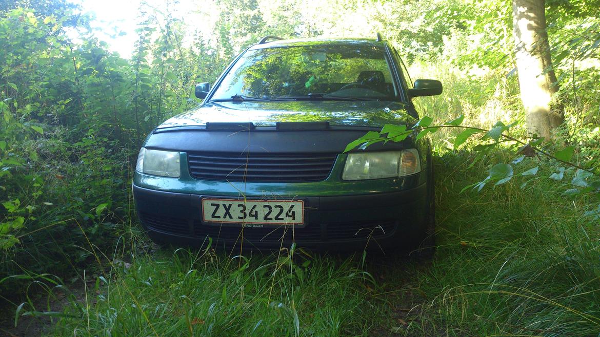 VW passat 3b billede 2