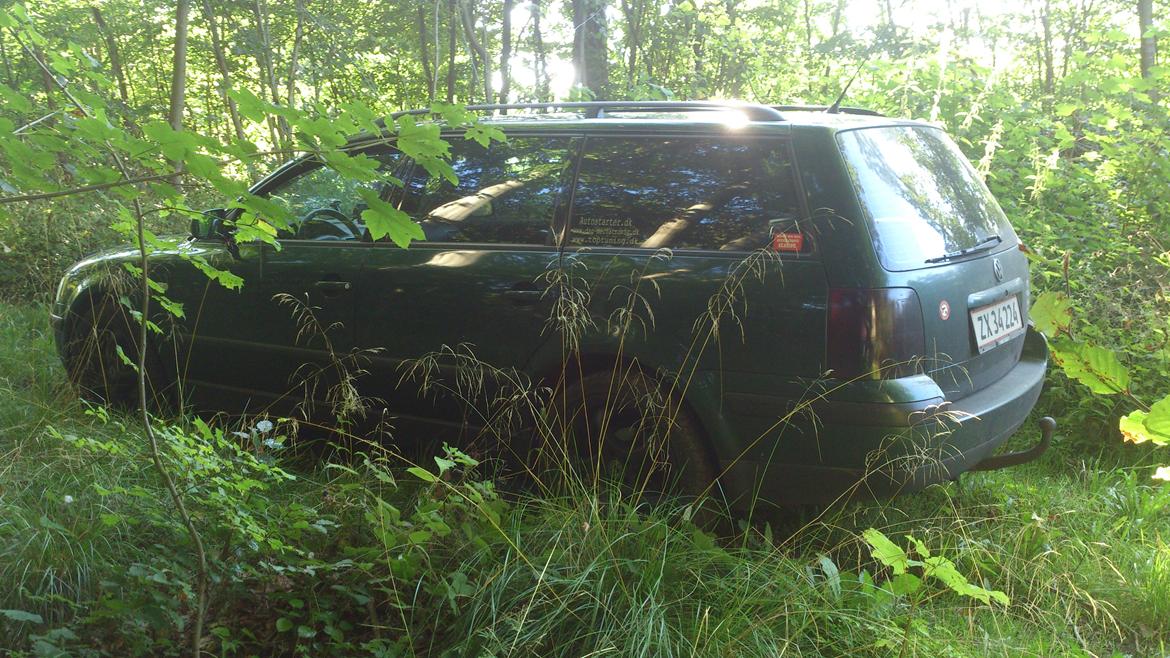 VW passat 3b billede 4