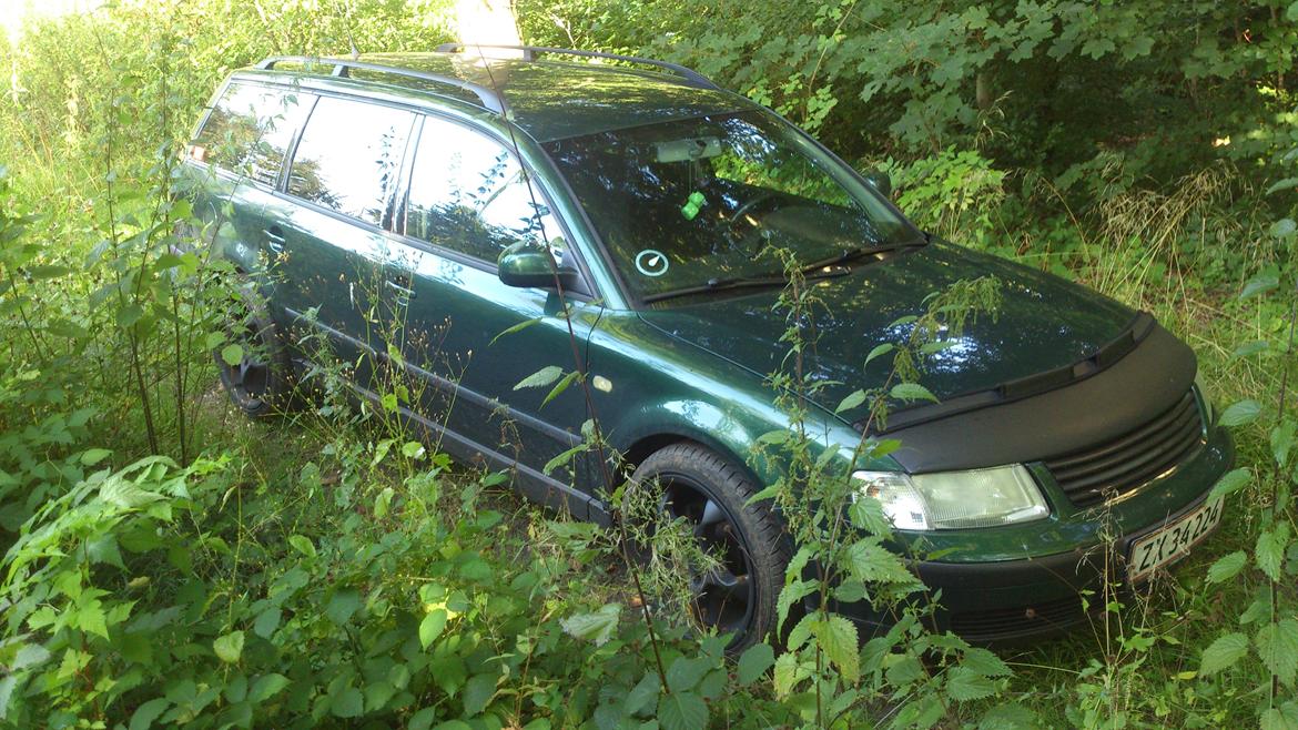 VW passat 3b billede 7