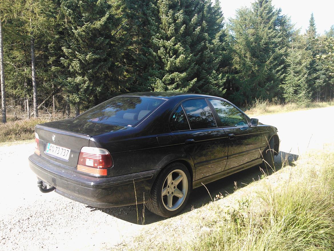BMW E 39 523i auto billede 4
