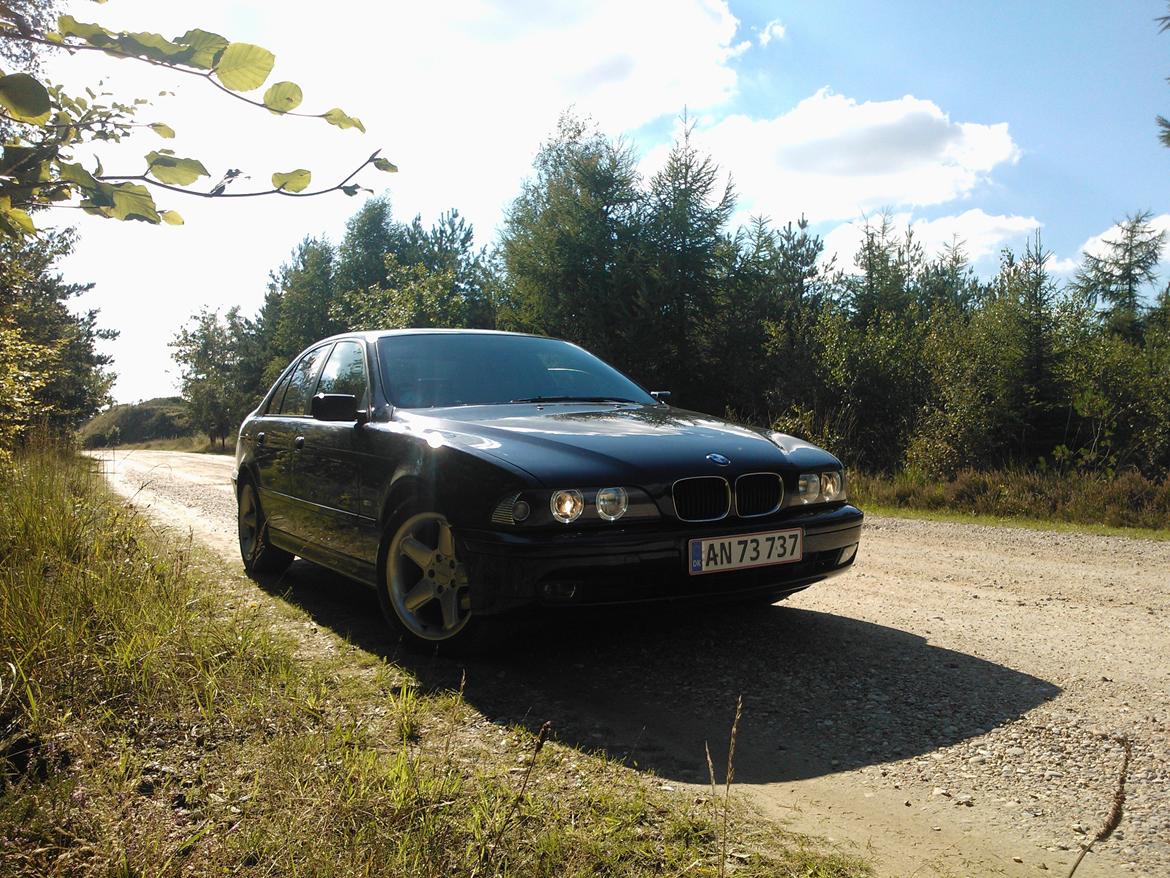 BMW E 39 523i auto billede 3