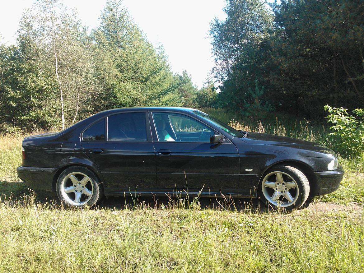 BMW E 39 523i auto billede 6
