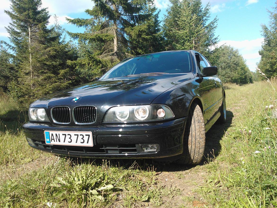 BMW E 39 523i auto billede 8